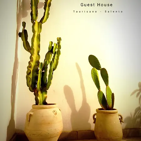 Caleo Prázdninový dům