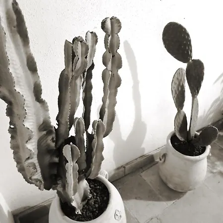 Caleo Prázdninový dům Taurisano